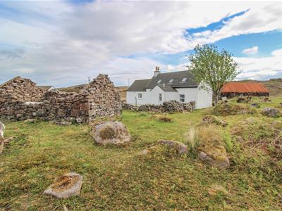 Picture 20
